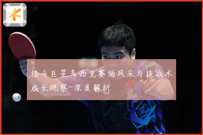 格斗巨星乌西克赛场风采与技战术成长观察-深度解析